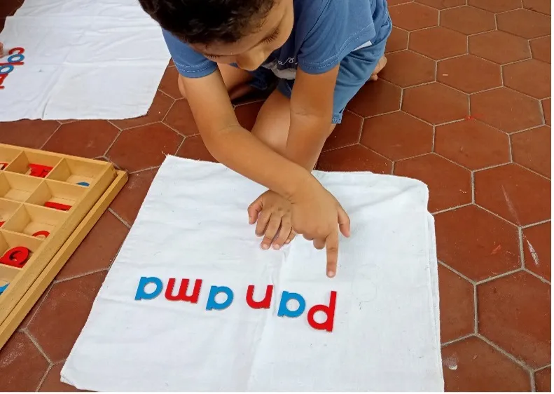 A child uses the Montessori movable alphabet to build words, fostering early literacy and writing skills.